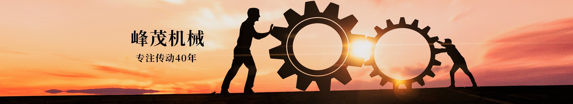 東莞市峰茂機(jī)械設(shè)備有限公司，專注齒條齒輪傳動(dòng)40年